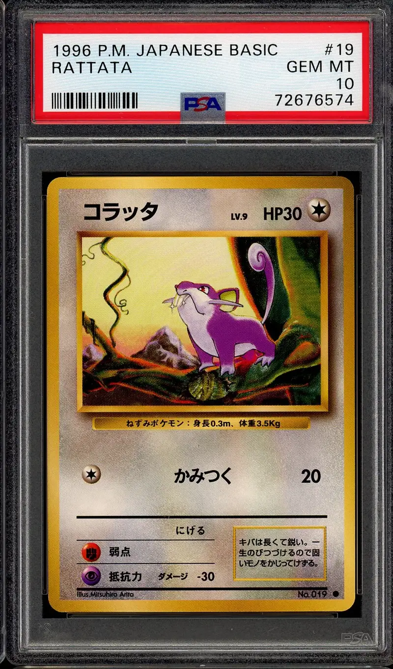 PSA 10 Rattata
