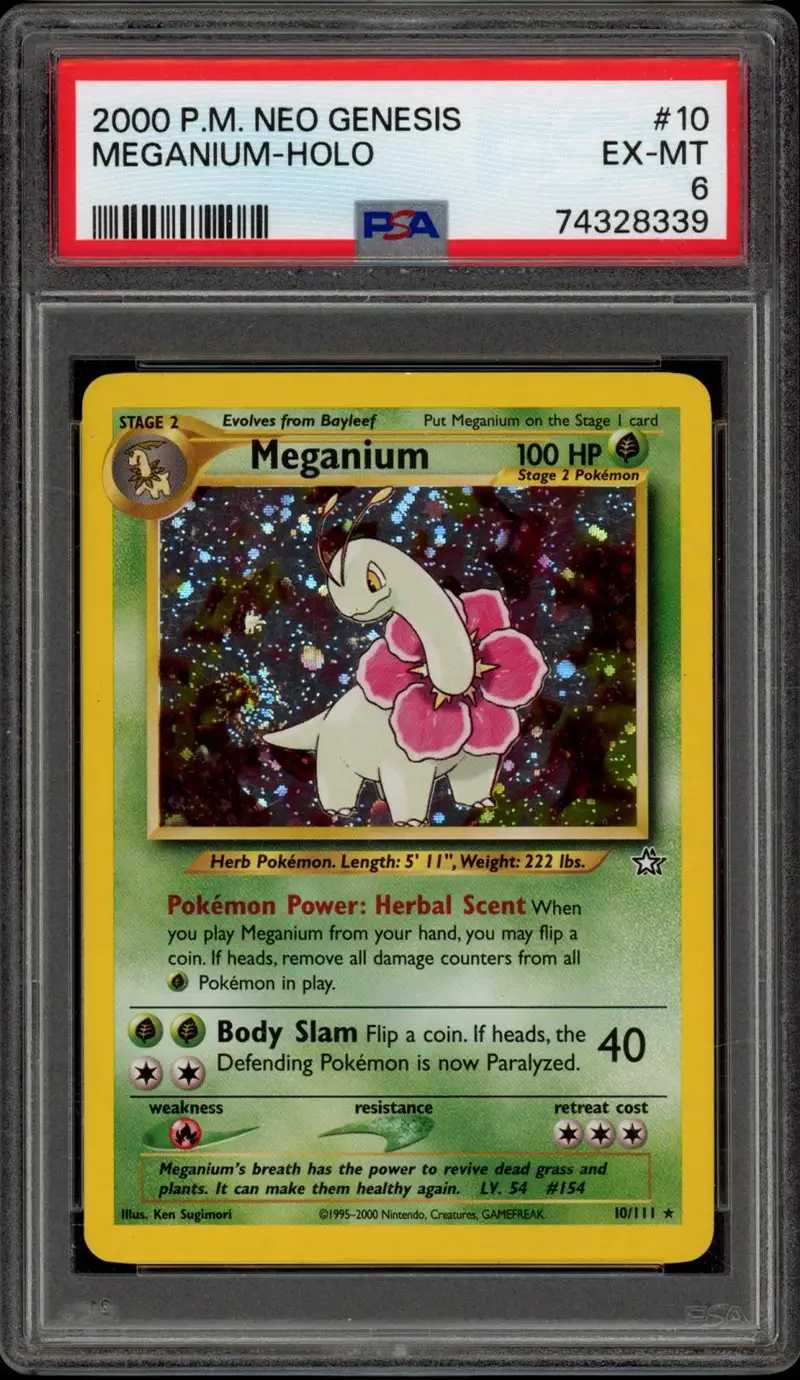 PSA 6 Meganium Holo
