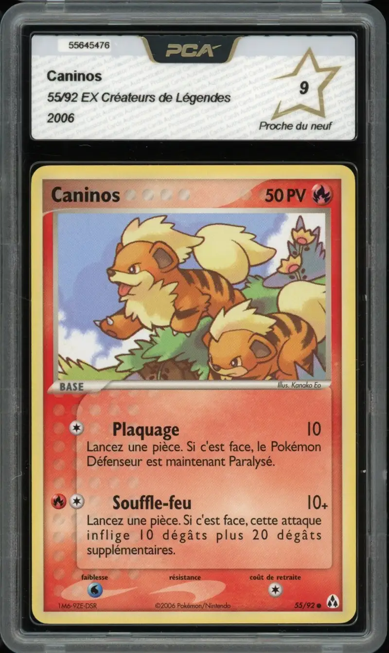 PCA 9 Caninos