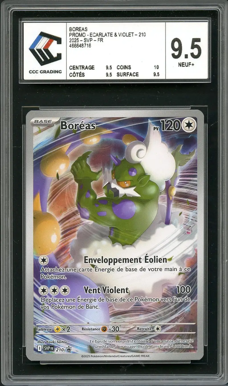 CCC 9.5 Boréas