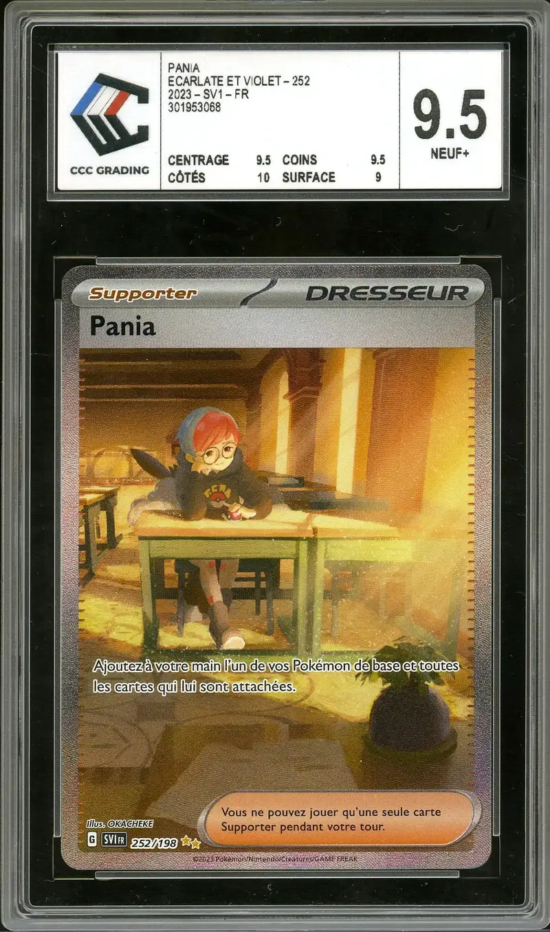 CCC 9.5 Pania