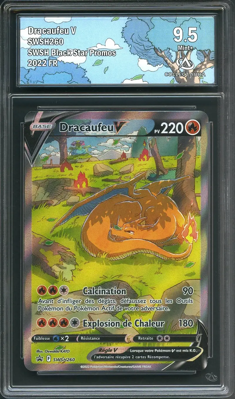 CA 9.5 Dracaufeu V