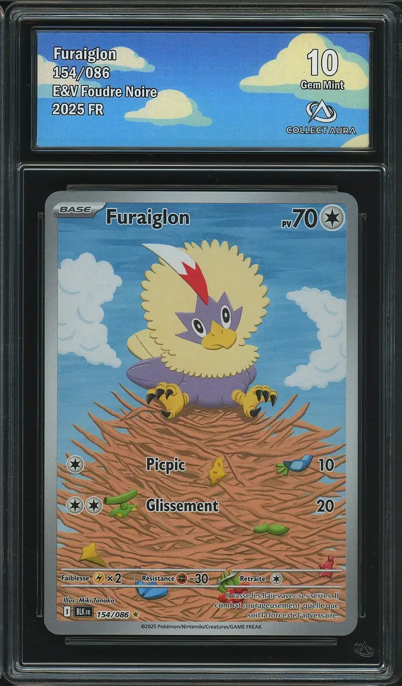 CA 10 Furaiglon
