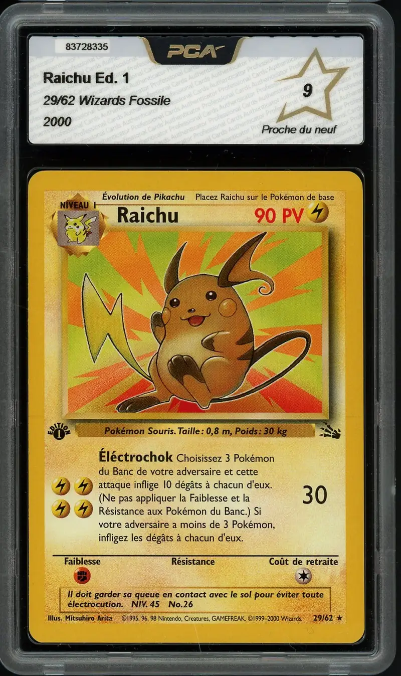 PCA 9 Raichu
