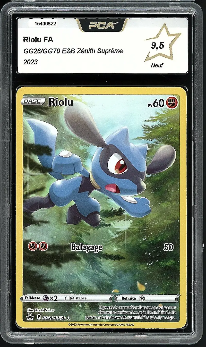 PCA 9.5 Riolu