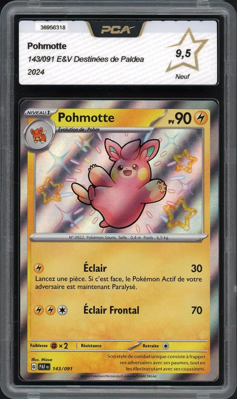 PCA 9.5 Pohmotte Shiny