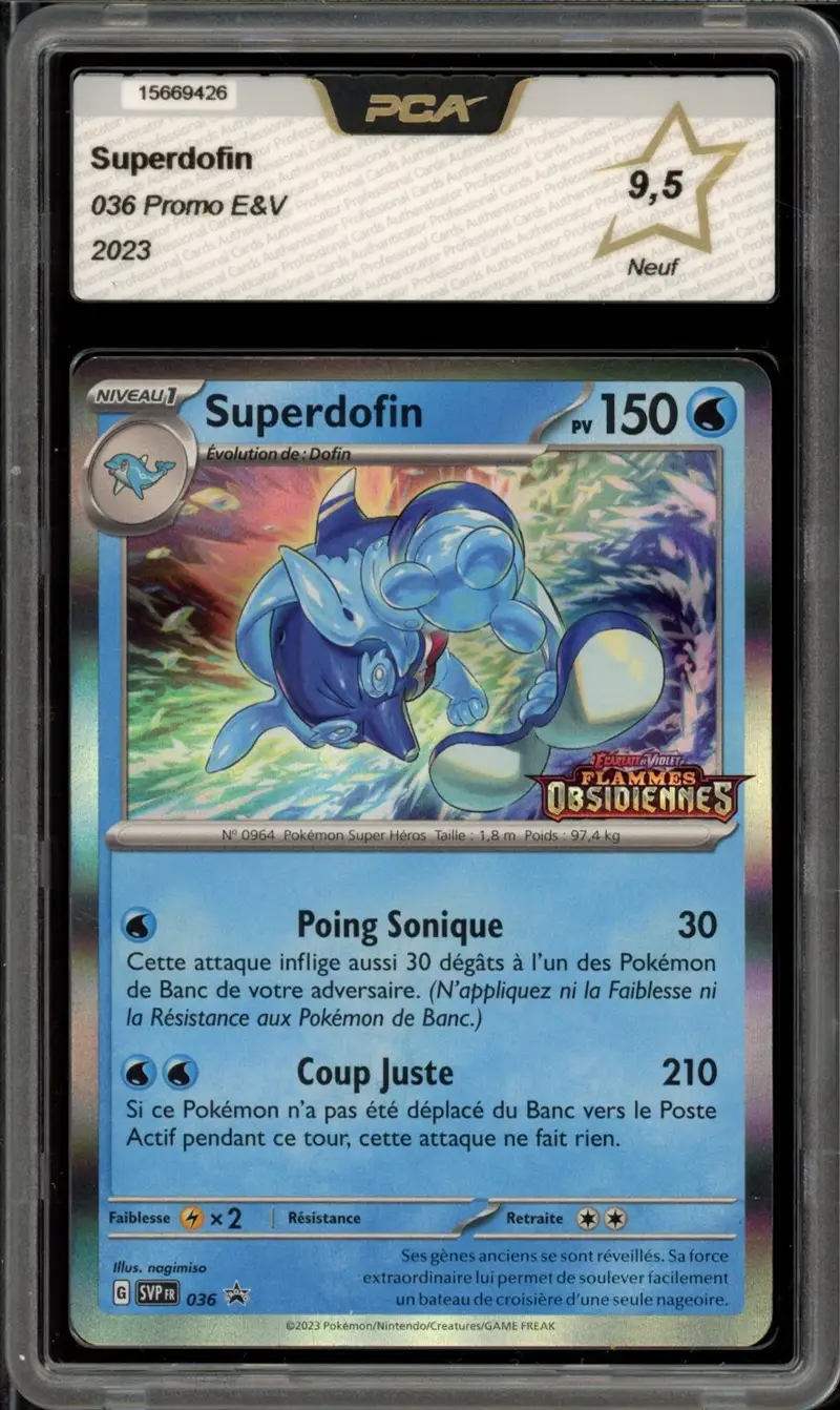 PCA 9.5 Superdofin