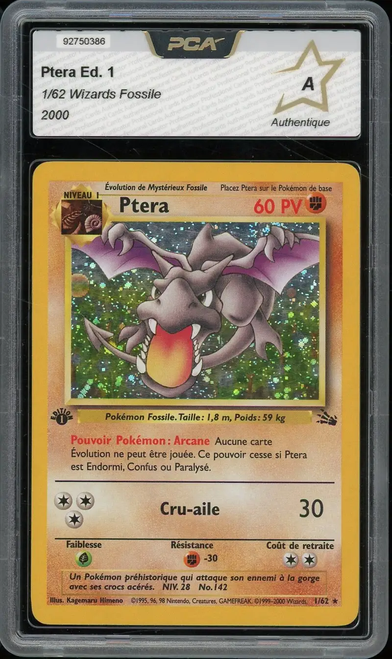 PCA A Ptera Holo