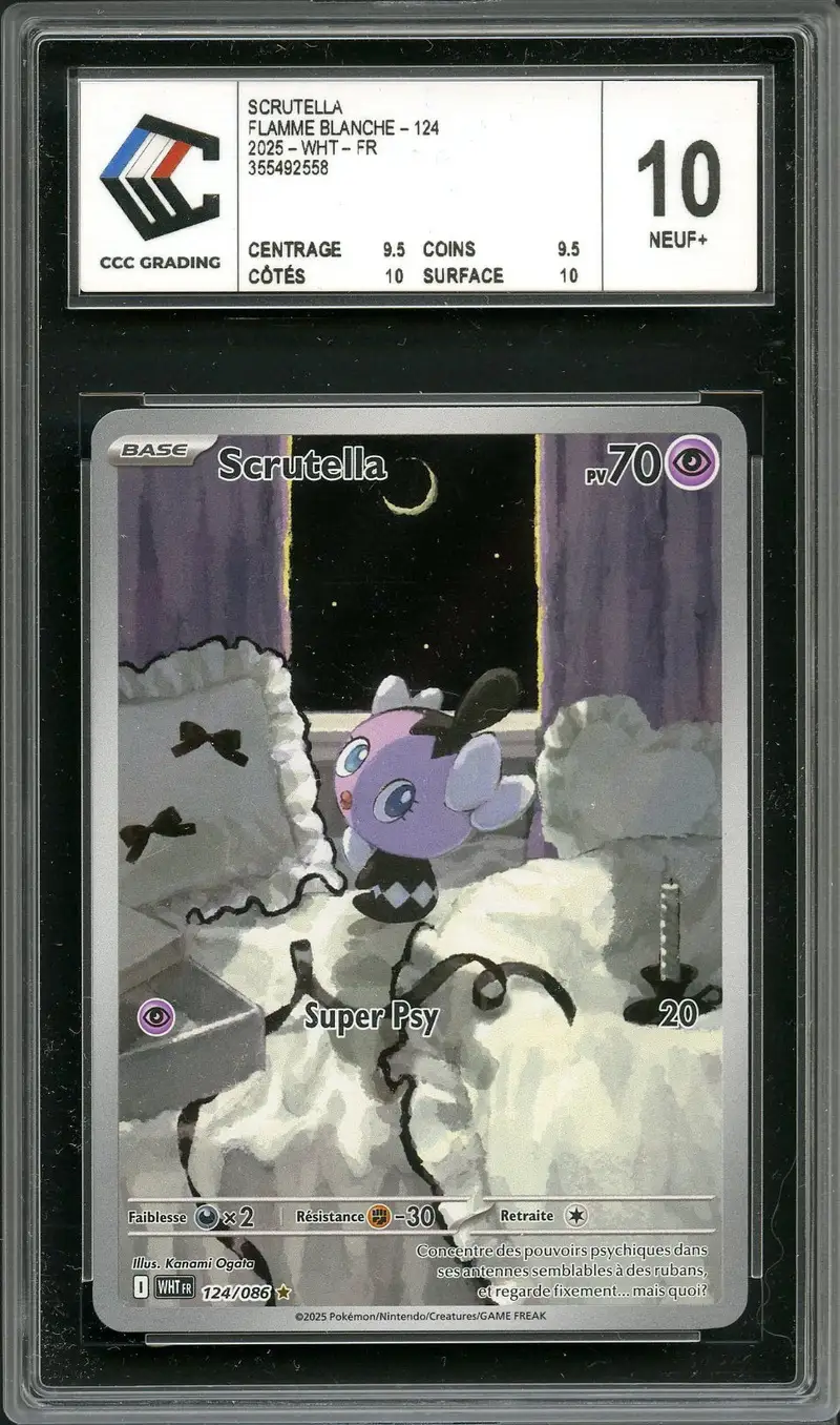CCC 10 Scrutella
