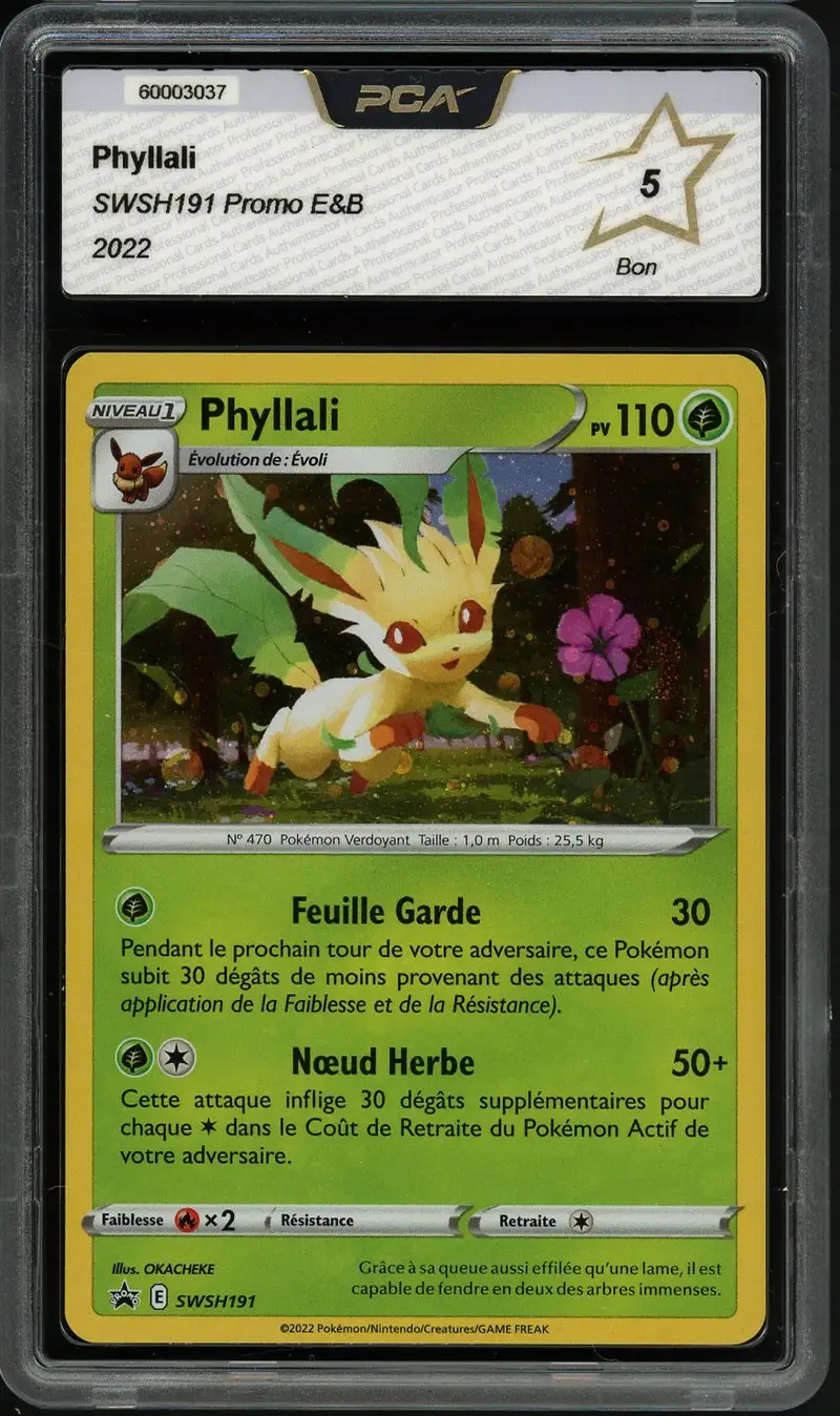 PCA 5 Phyllali Holo