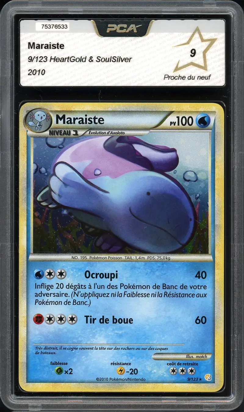 PCA 9 Maraiste Holo
