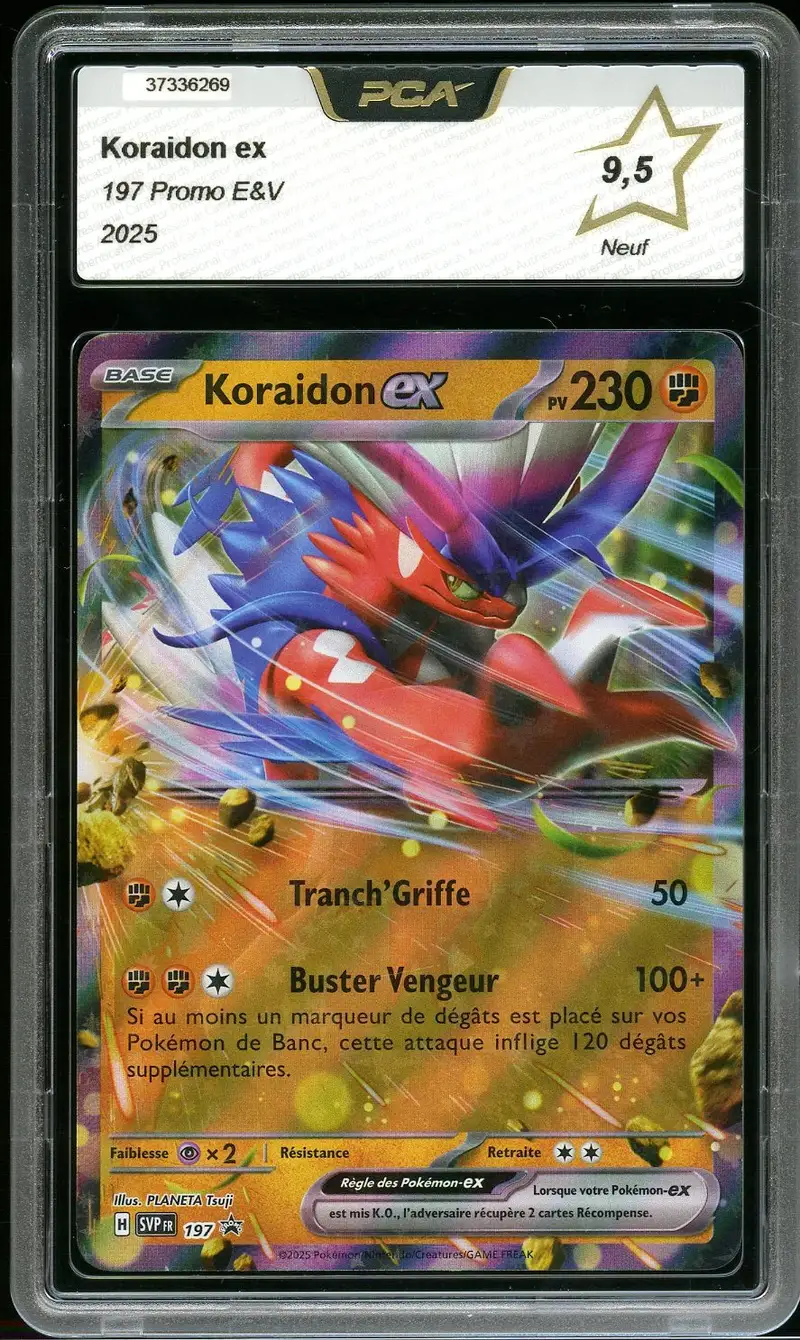 PCA 9.5 Koraidon Ex