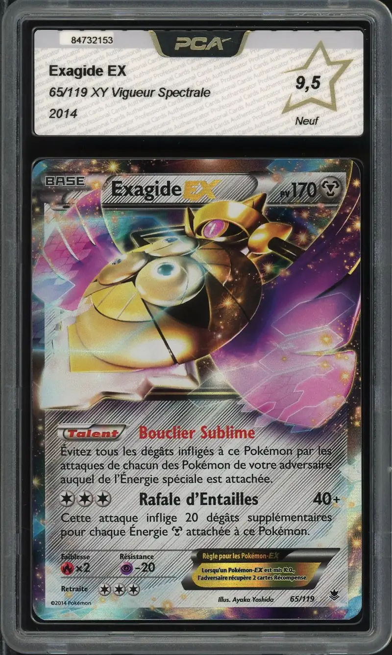 PCA 9.5 Exagide Ex