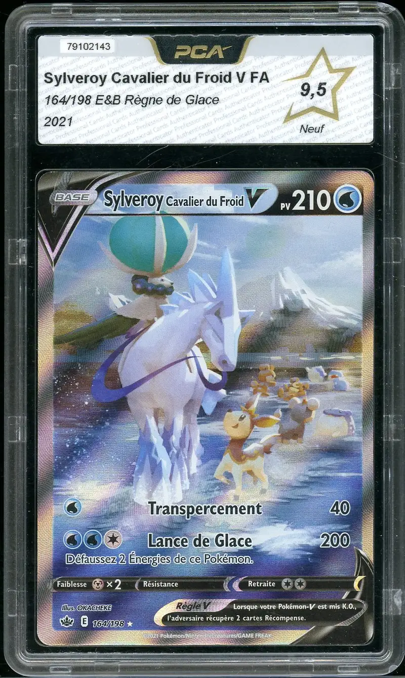 PCA 9.5 Sylveroy Cavalier du Froid V