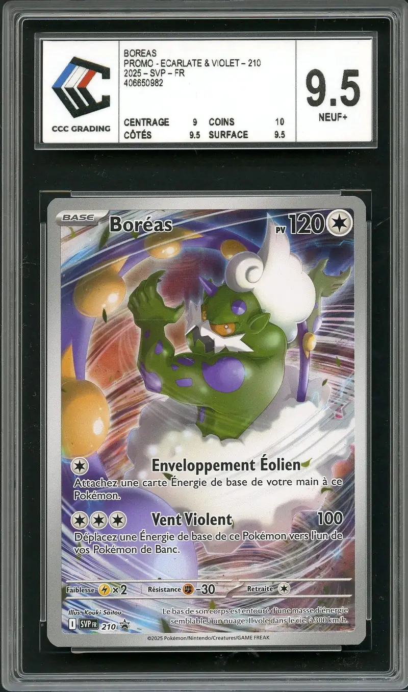CCC 9.5 Boréas