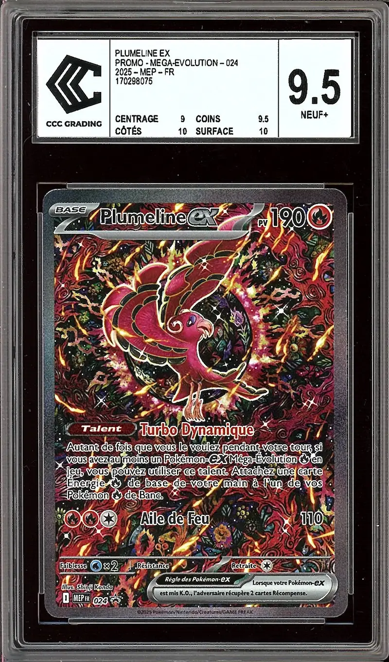 CCC 9.5 Plumeline Ex