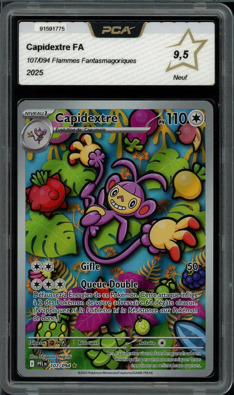 PCA 9.5 Capidextre