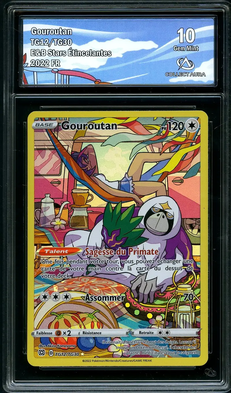 CA 10 Gouroutan
