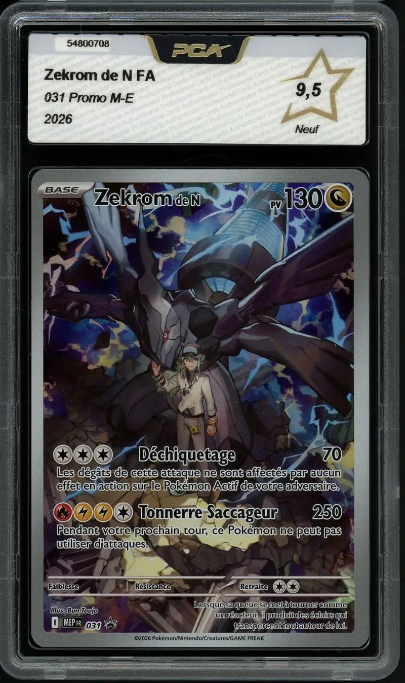 PCA 9.5 Zekrom de N