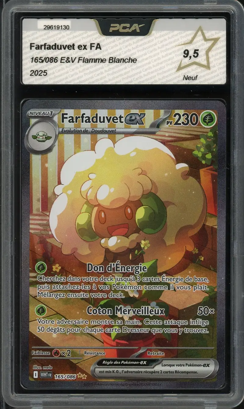 PCA 9.5 Farfaduvet Ex
