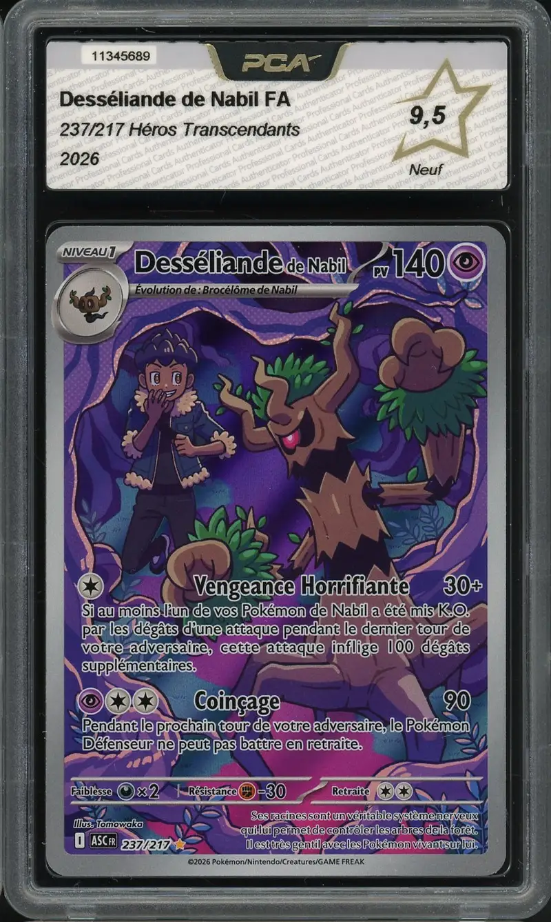 PCA 9.5 Desséliande de Nabil