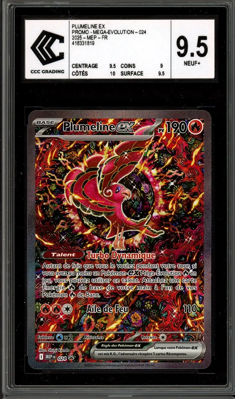 CCC 9.5 Plumeline Ex