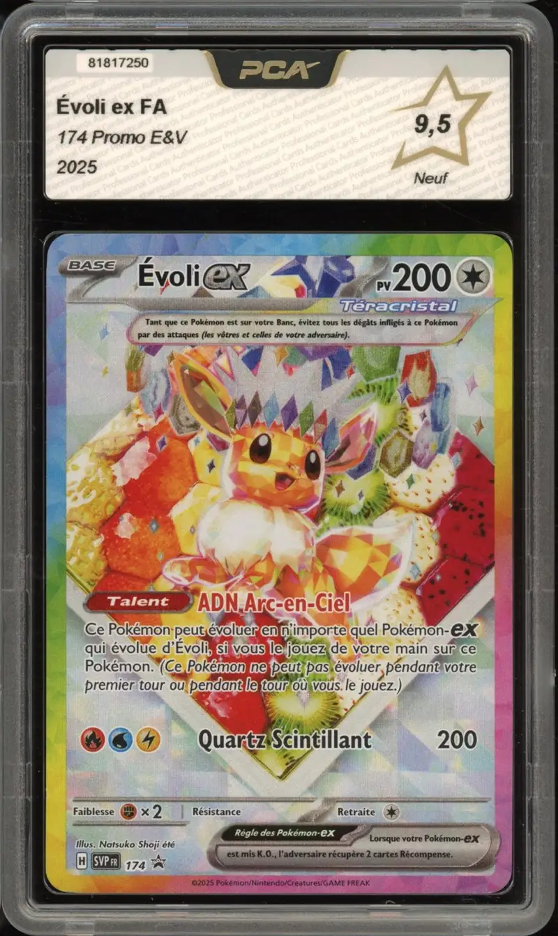 PCA 9.5 Evoli Ex