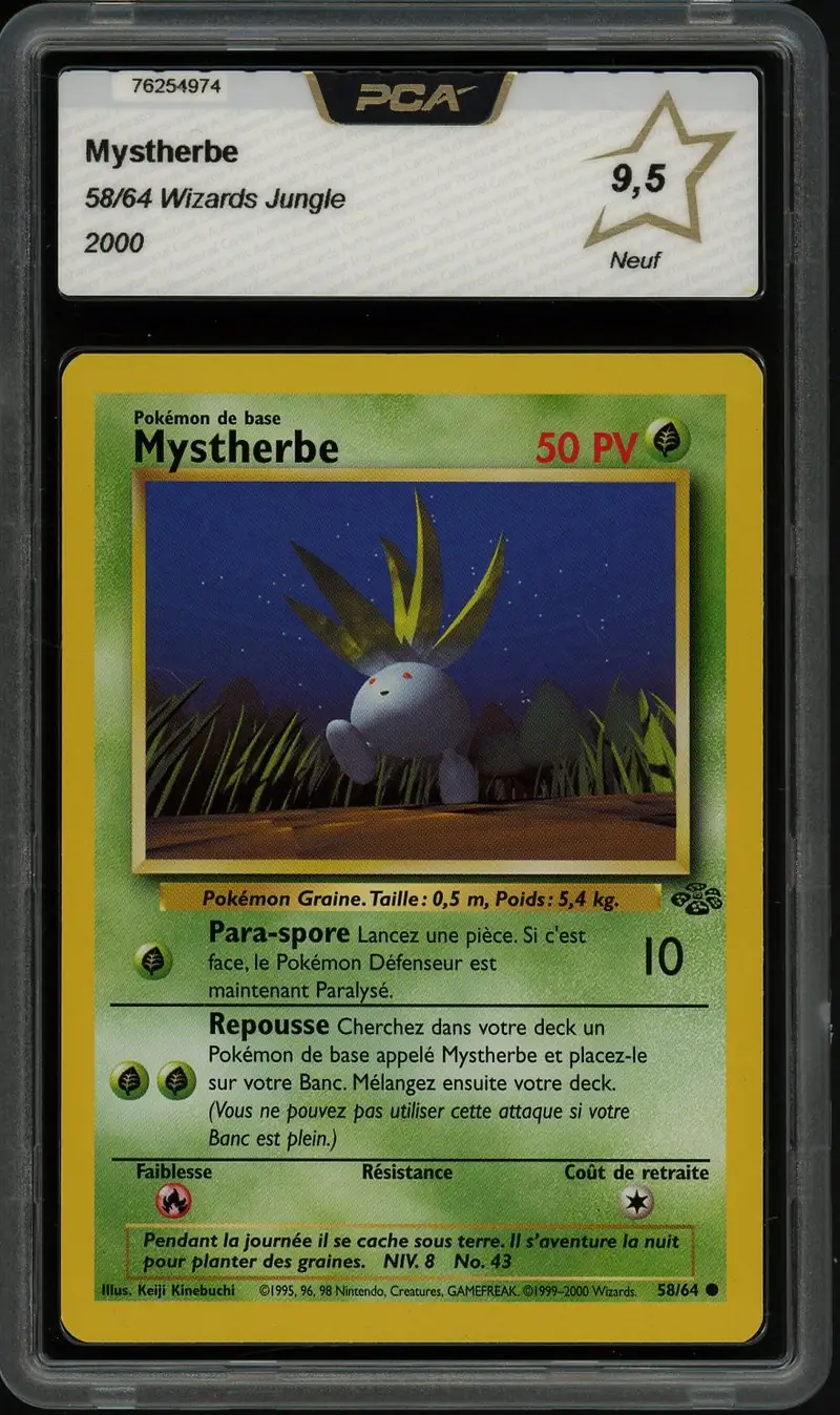 PCA 9.5 Mystherbe