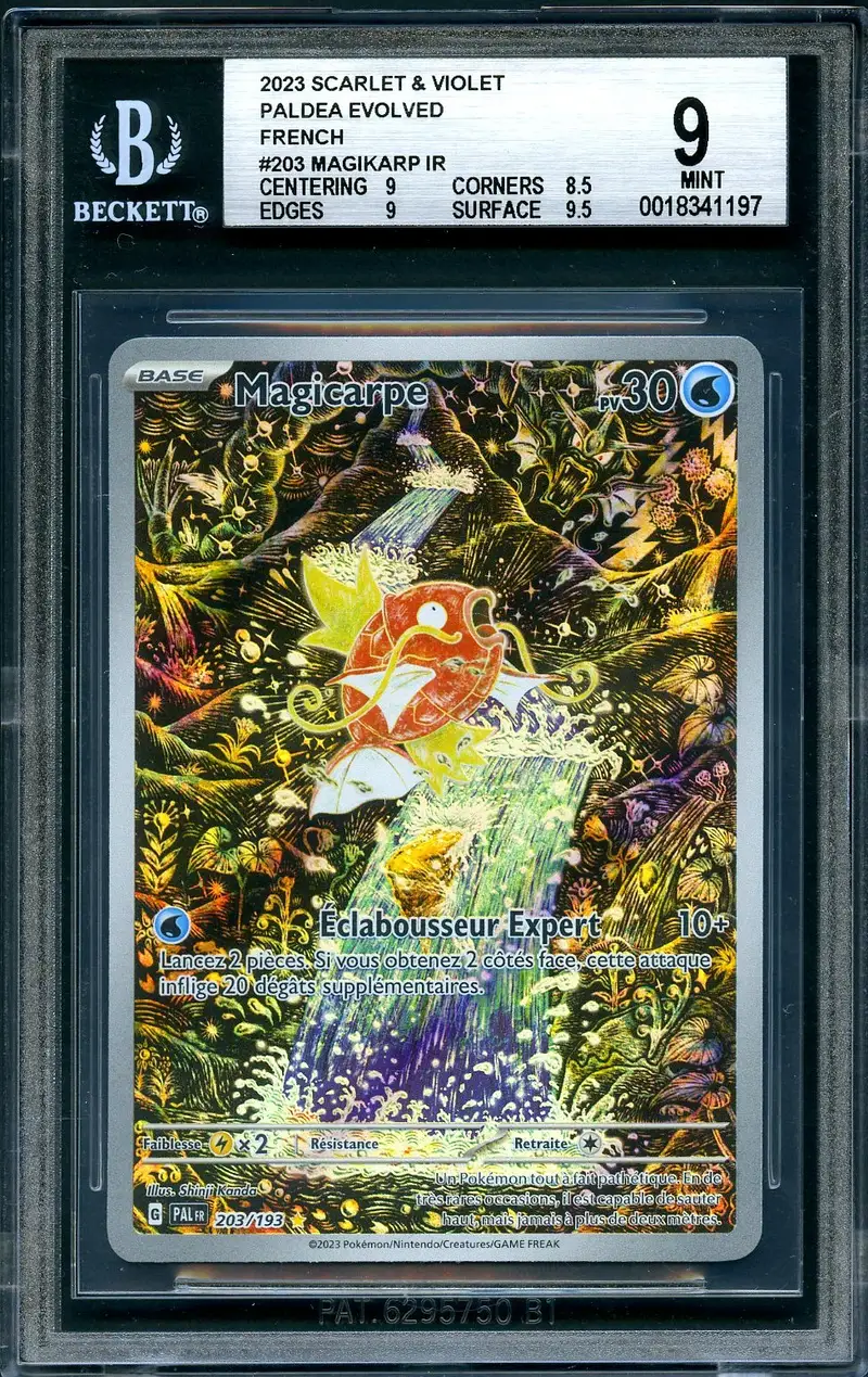 BGS 9 Magicarpe