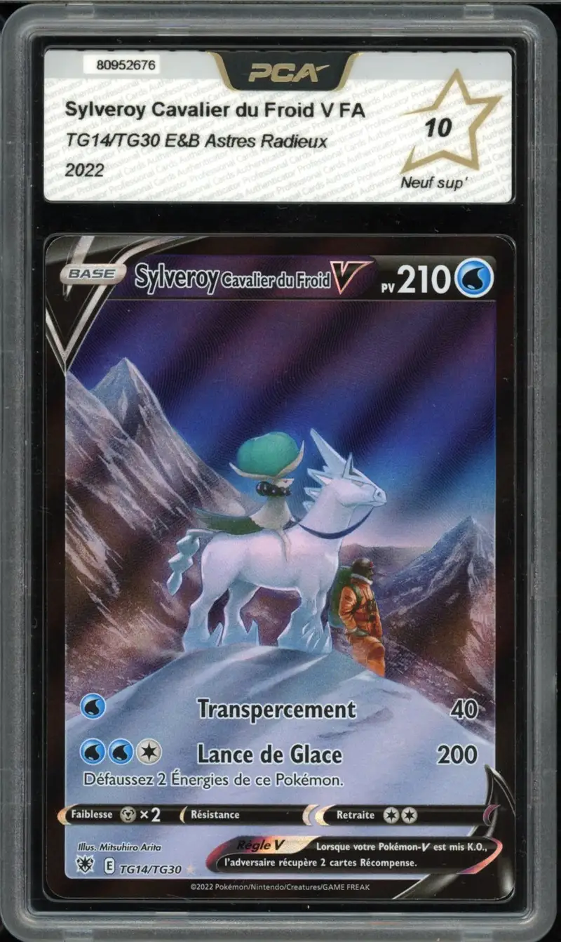 PCA 10 Sylveroy Cavalier du Froid V