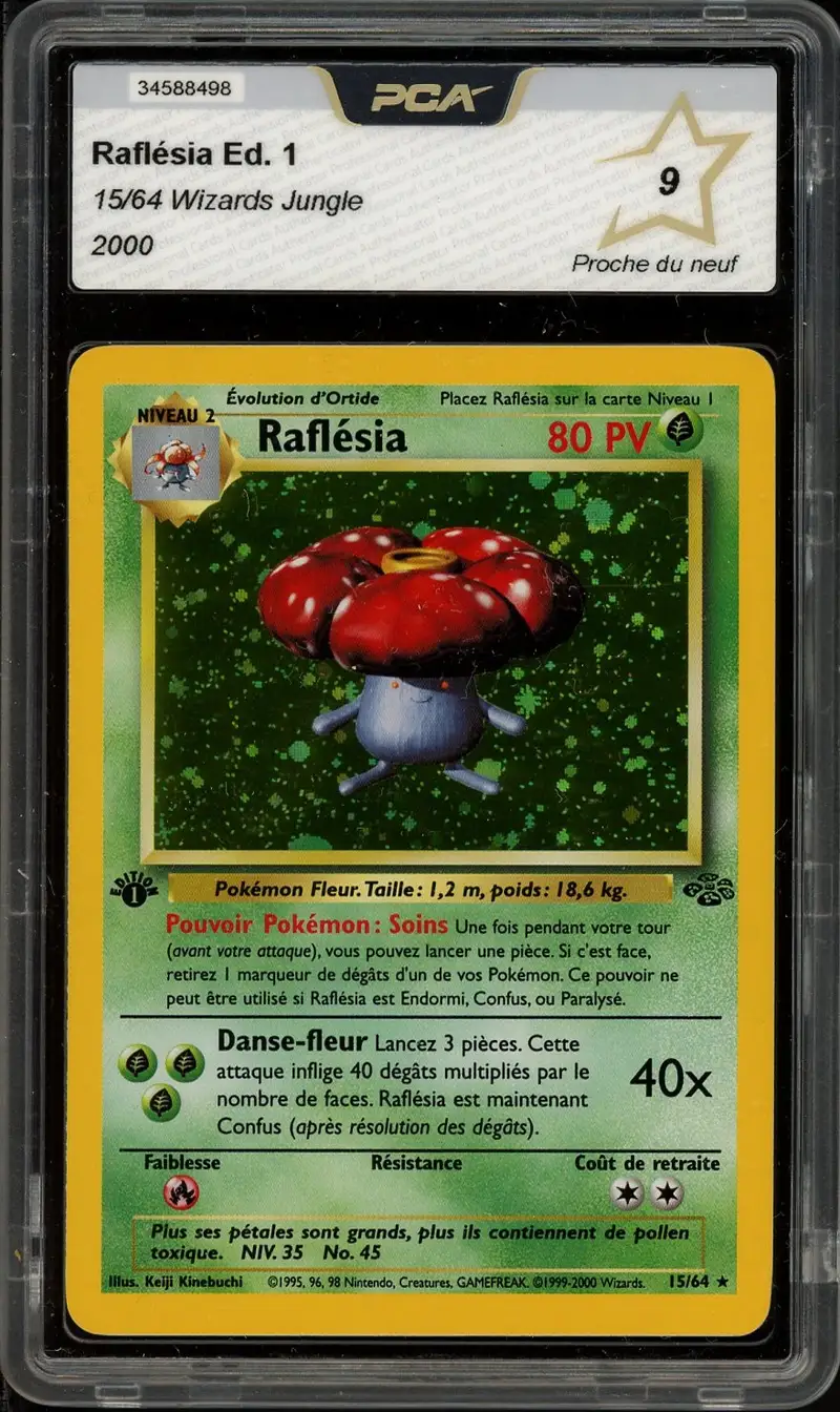 PCA 9 Raflésia Holo