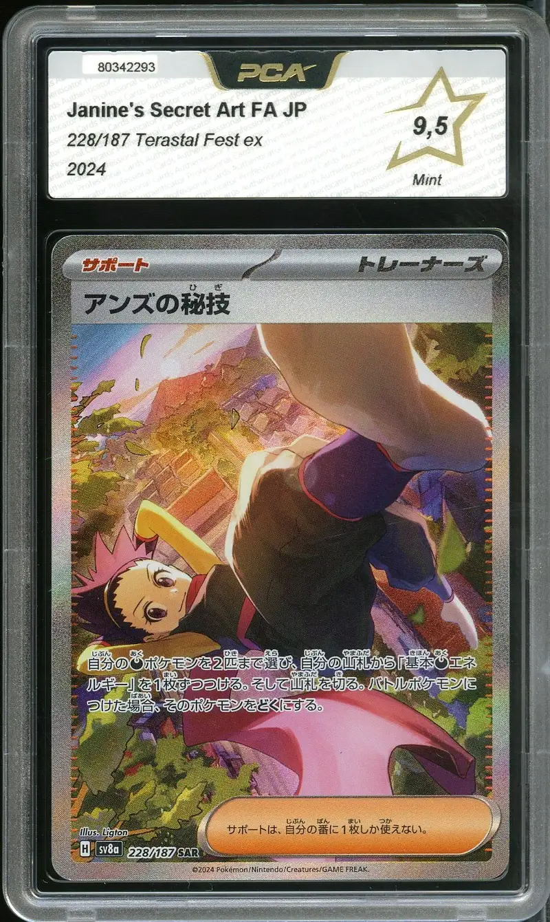 PCA 9.5 Janine's Secret Art