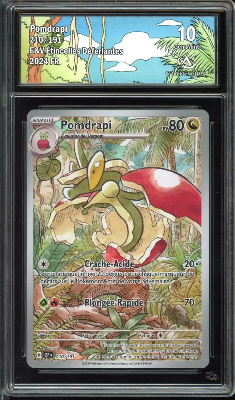 CA 10 Pomdrapi
