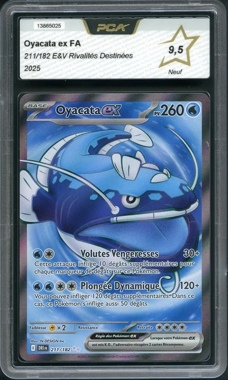 PCA 9.5 Oyacata Ex
