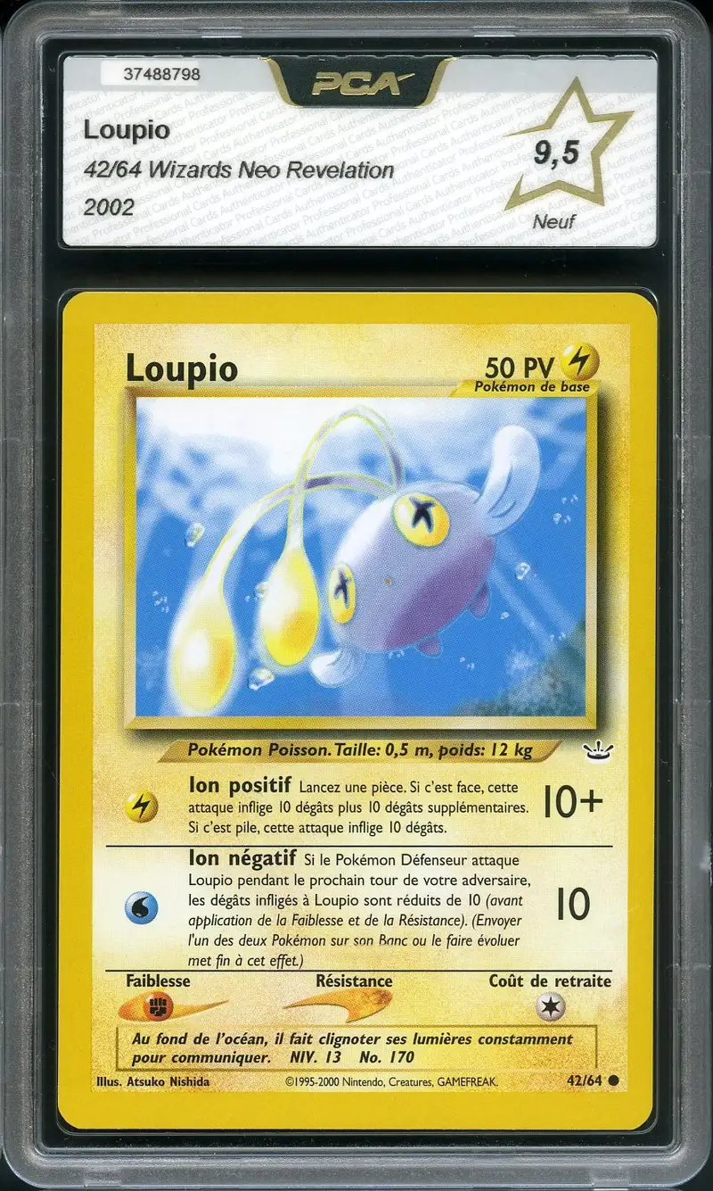 PCA 9.5 Loupio