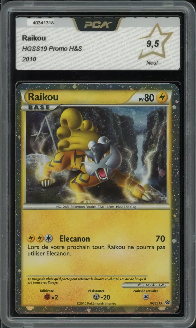 PCA 9.5 Raikou Holo
