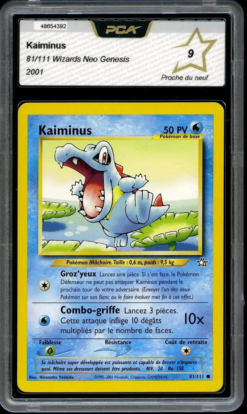PCA 9 Kaiminus