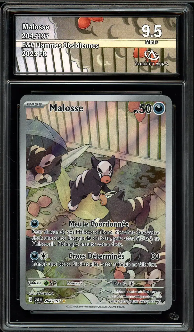 CA 9.5 Malosse