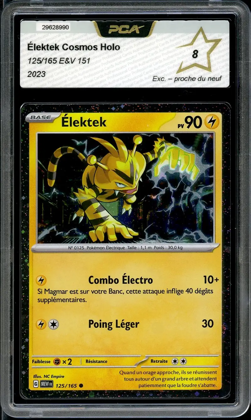 PCA 8 Elektek