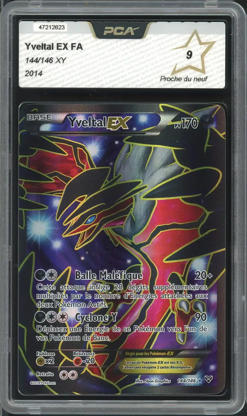 PCA 9 Yveltal Ex