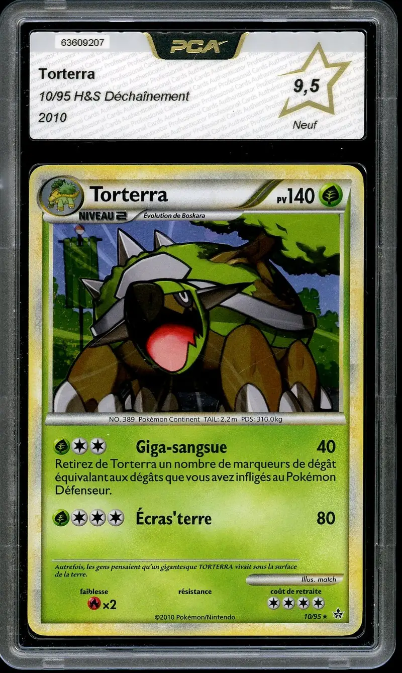 PCA 9.5 Torterra Holo