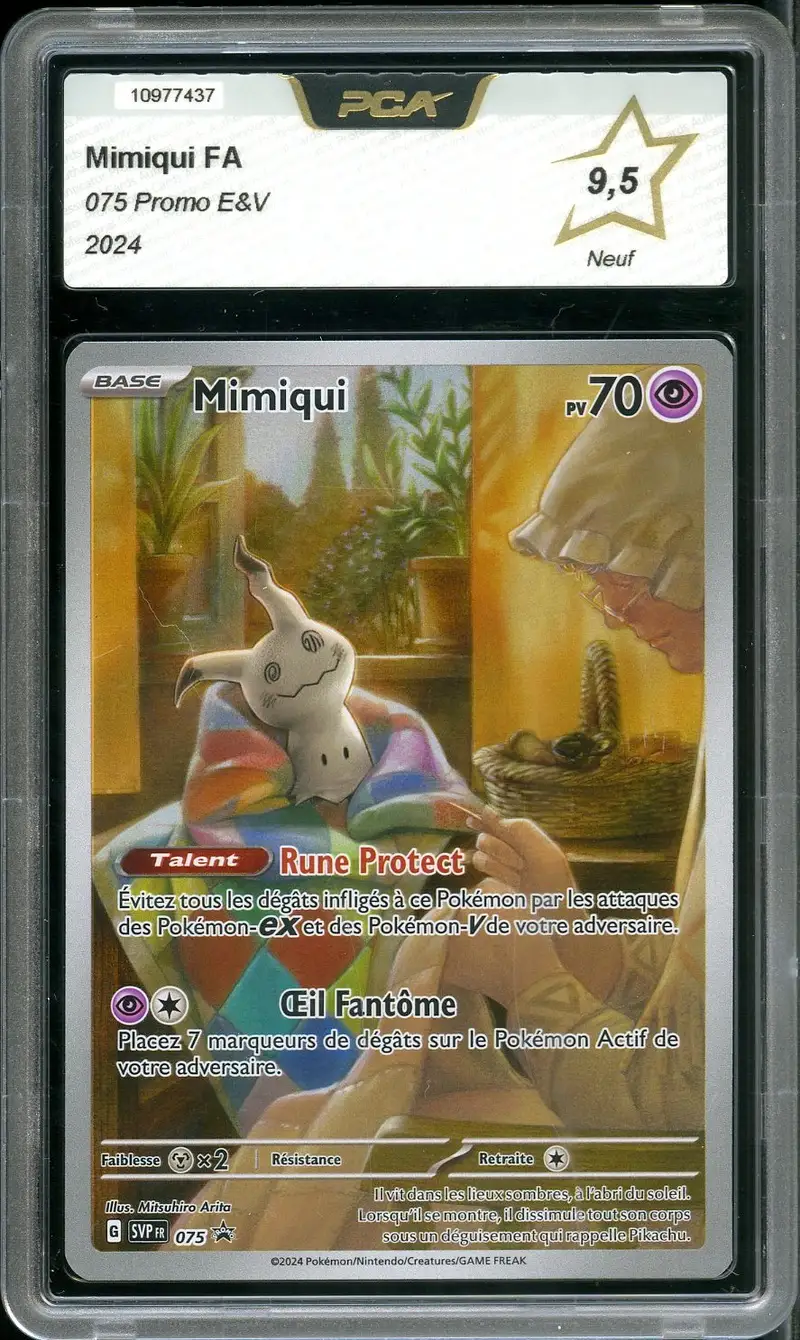 PCA 9.5 Mimiqui