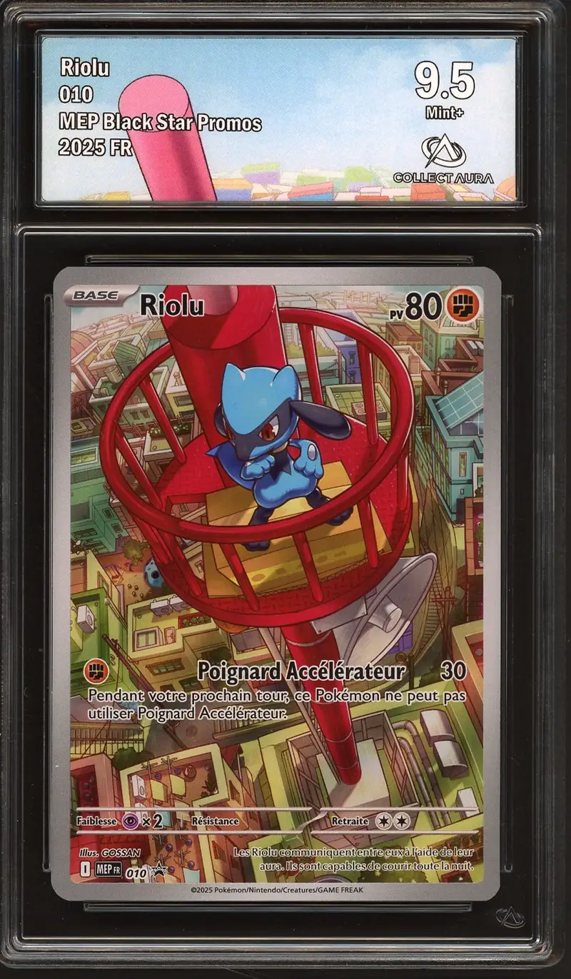 CA 9.5 Riolu