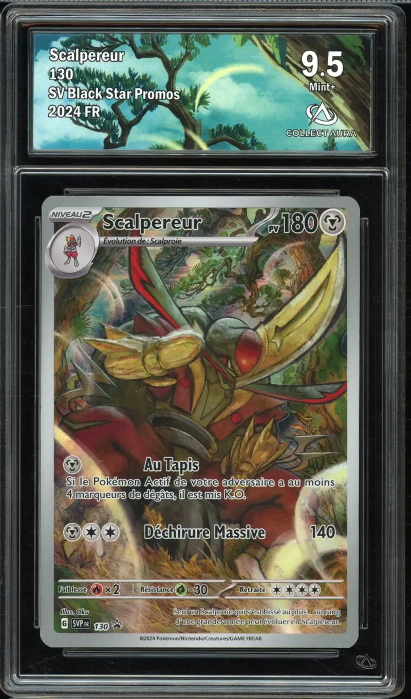 CA 9.5 Scalpereur