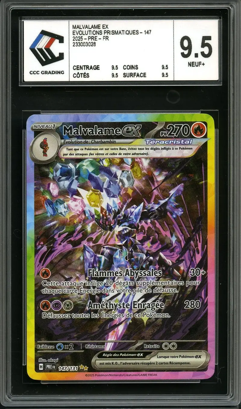 CCC 9.5 Malvalame Ex