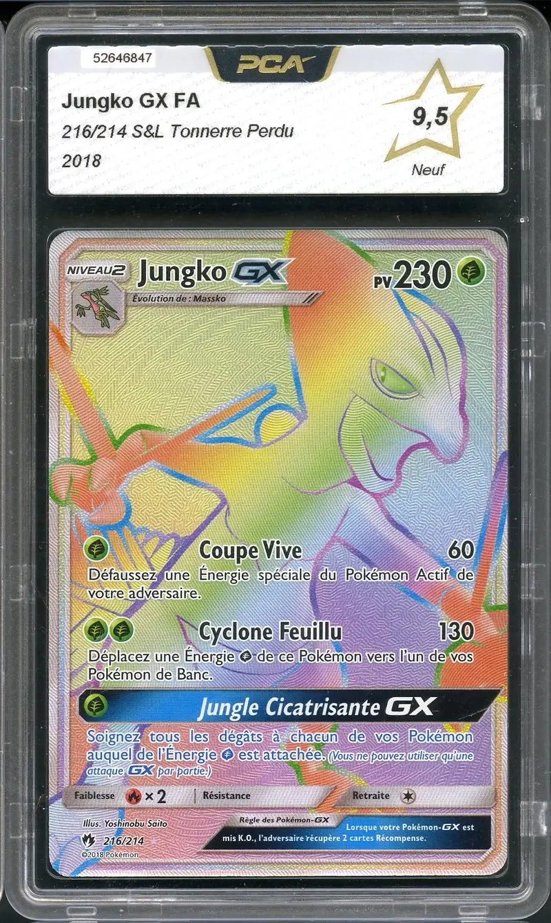 PCA 9.5 Jungko Gx Rainbow