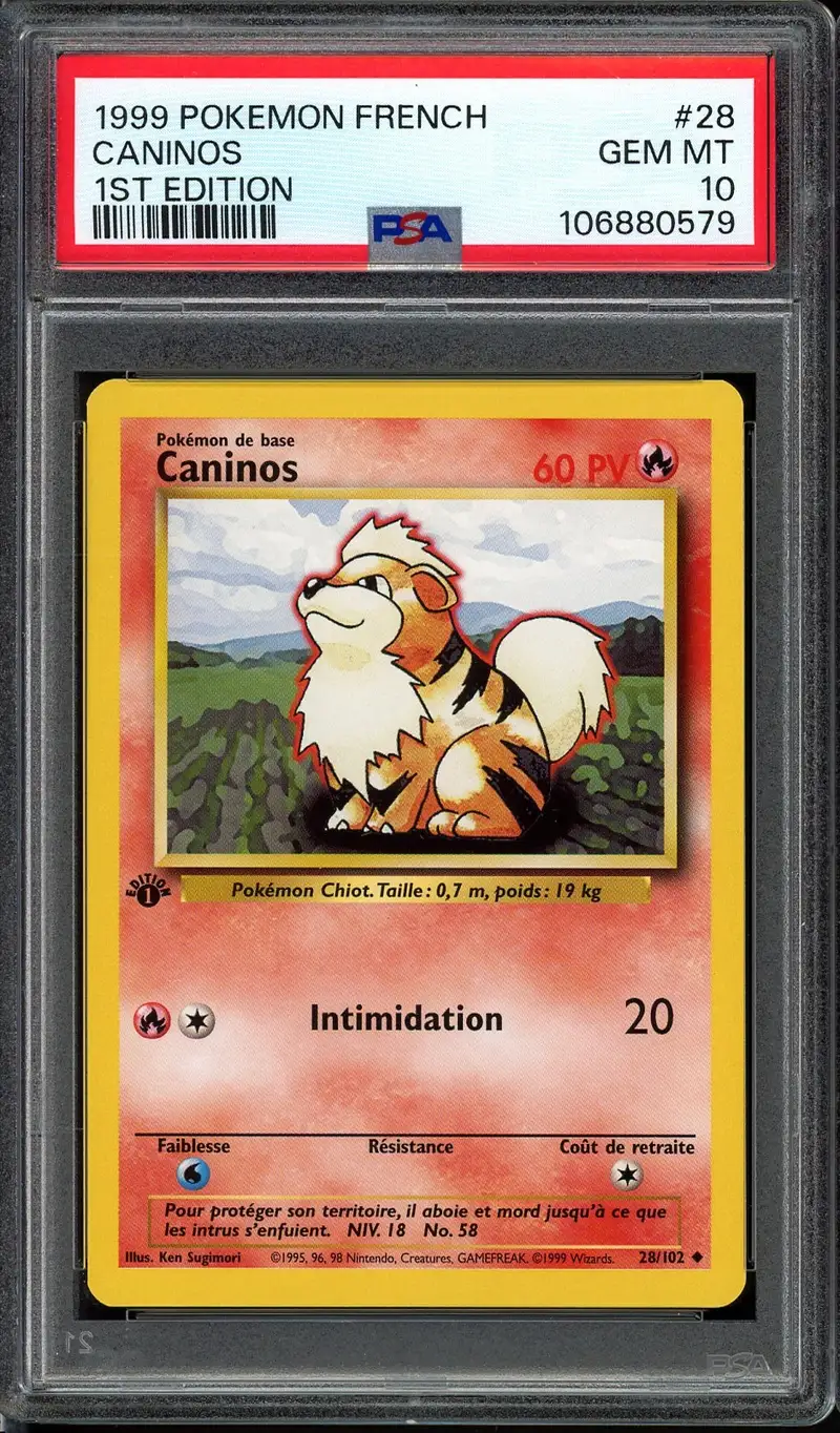 PSA 10 Caninos