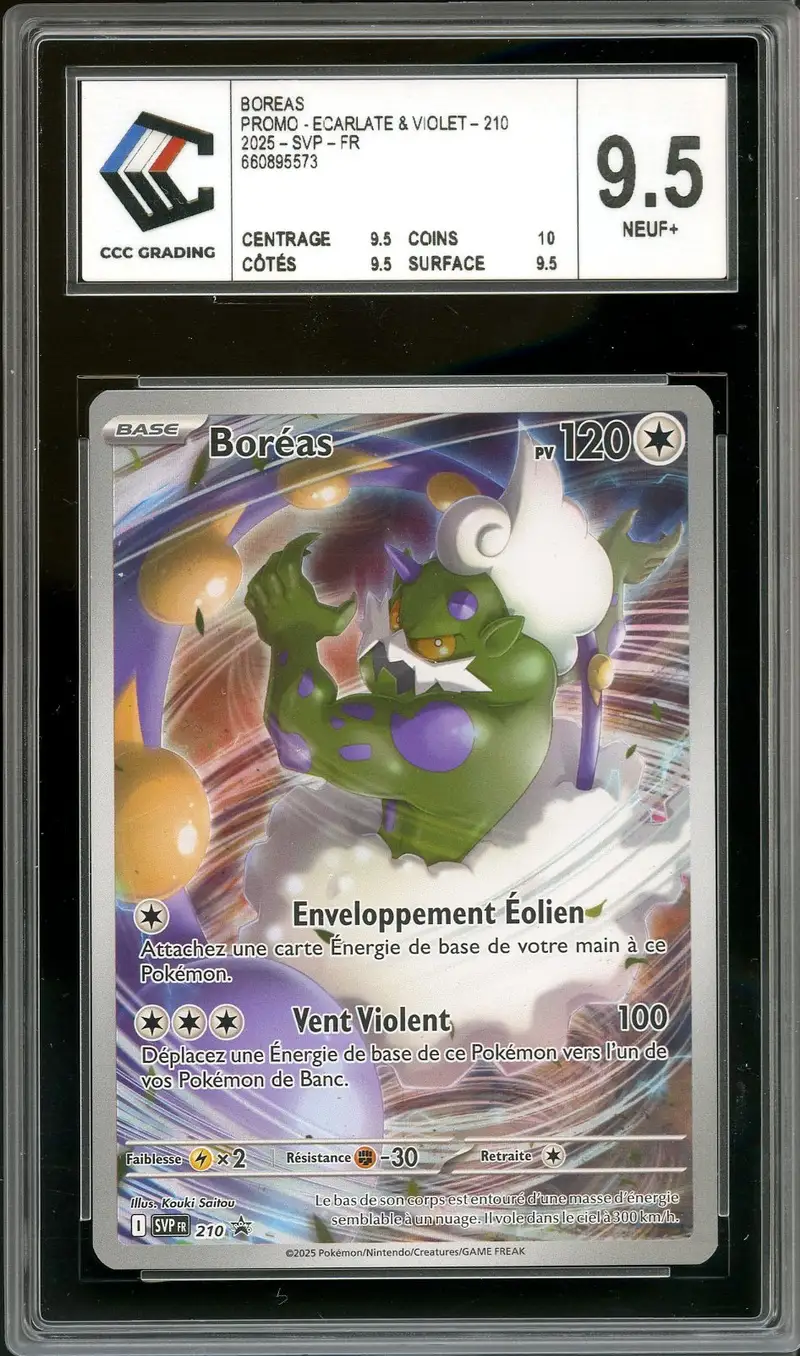 CCC 9.5 Boréas