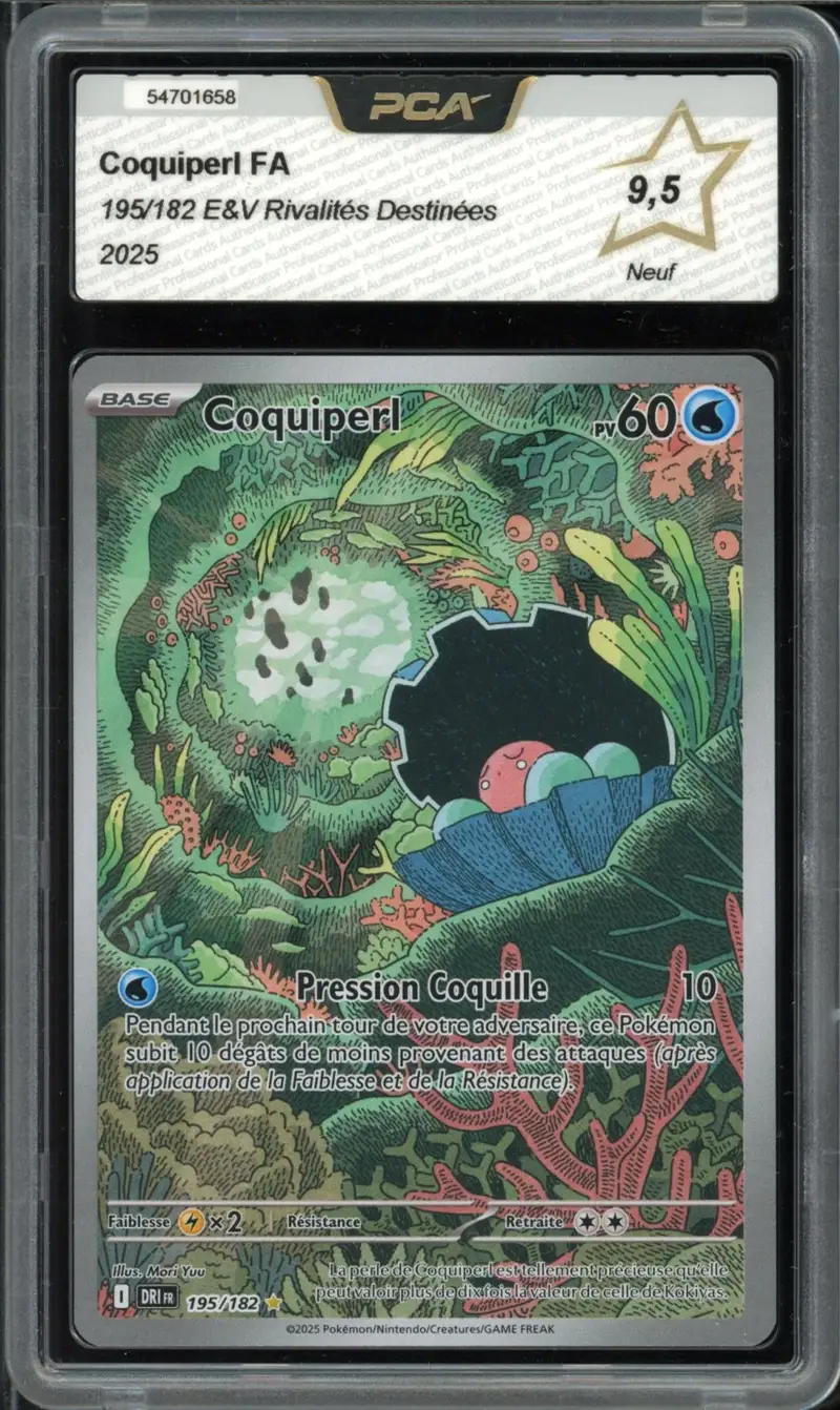 PCA 9.5 Coquiperl