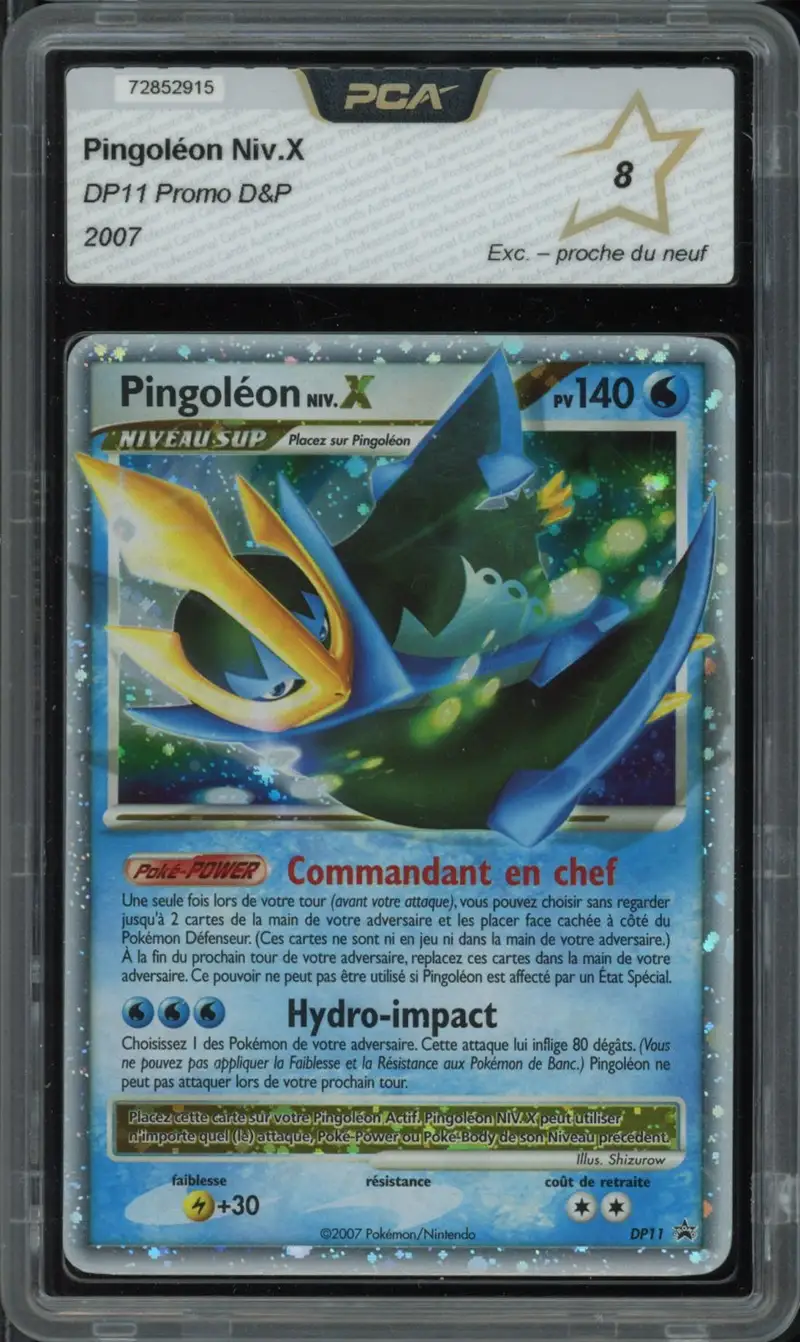PCA 8 Pingoléon Niv. X